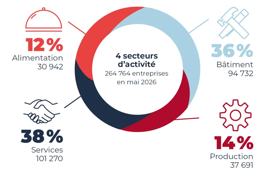 Infographie montrant la répartition des entreprises par secteur d'activité